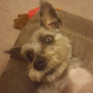 Meet your Posher, Frank